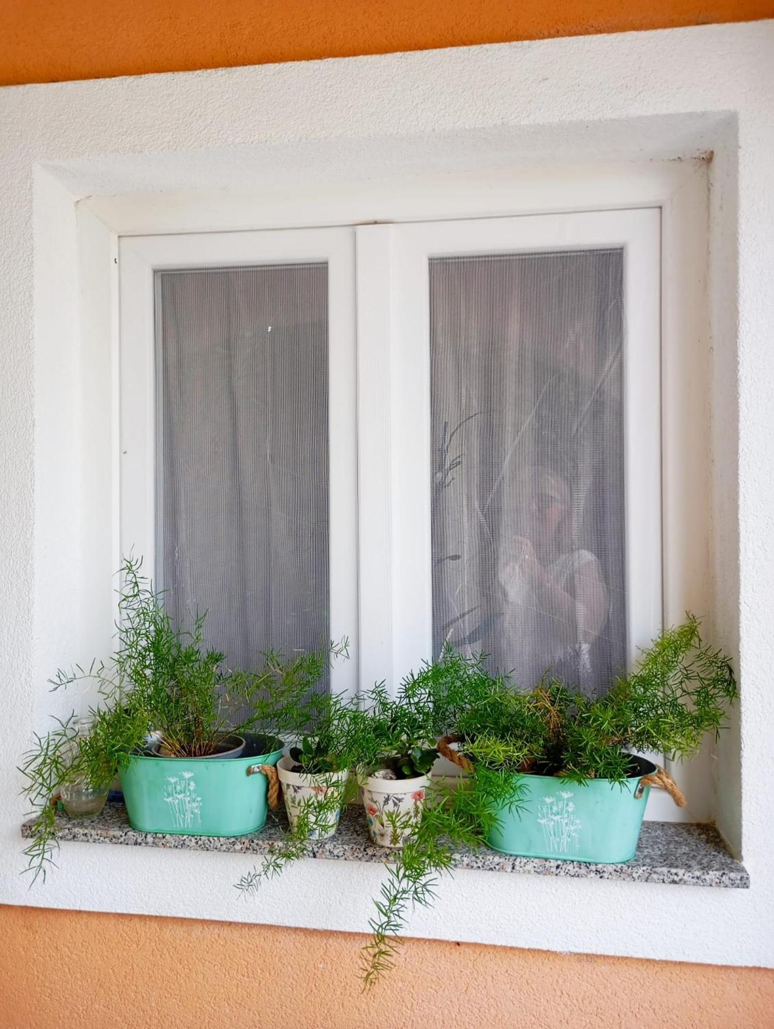 Apartmani Joja Biograd Na Moru Exterior photo